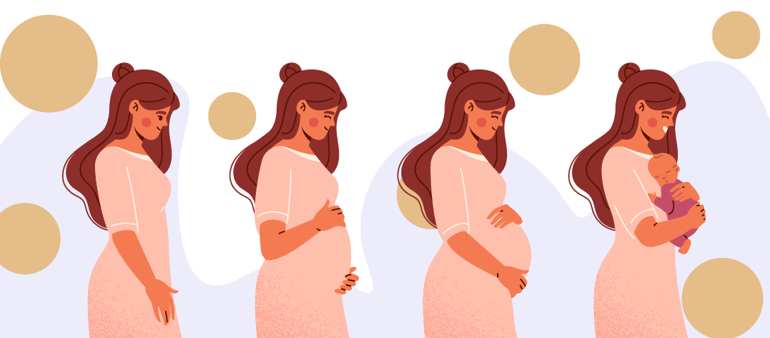 Illustration représentant les étapes clés de la grossesse, de la conception à la naissance du bébé