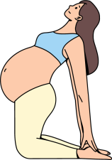 Position du chameau modifiée (Ustrasana), yoga prénatal Illustration d’une femme enceinte en position du chameau modifiée, posture de yoga prénatal pour ouvrir la poitrine et étirer l’avant du corps en toute sécurité