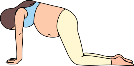 Position du chat, yoga prénatal Illustration d’une femme enceinte en position du chat, posture de yoga prénatal pour assouplir la colonne vertébrale et soulager les tensions dorsales