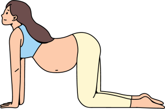 Position de la vache, yoga prénatal Illustration d’une femme enceinte en position de la vache, posture de yoga prénatal pour assouplir la colonne vertébrale et améliorer la respiration